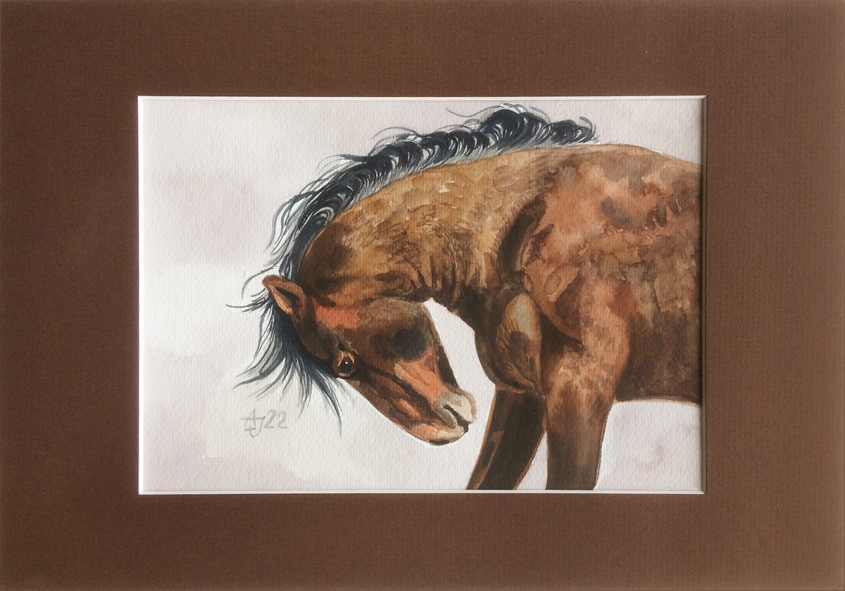 Horse by Jolanta Czarnecka