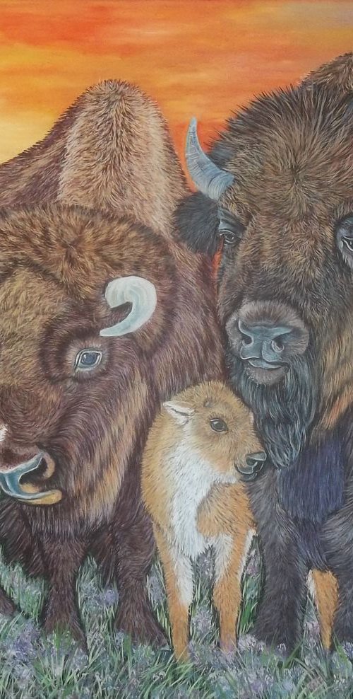 Bison and Calves by Sofya Mikeworth