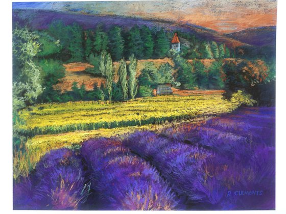 French Lavender fields and corn fields