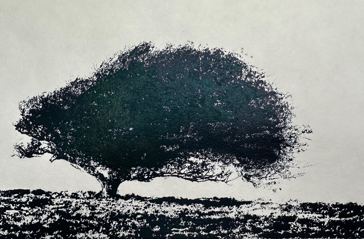 Limited Edition Print , Memory Of The Wind By Diane Mclellan, 12 X 8, Artwork For Sale On Artfinder