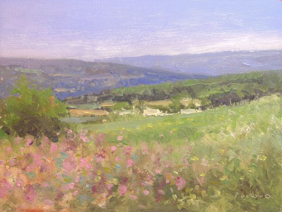 Fields in the Luberon