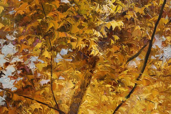 "Serenade of the Season"