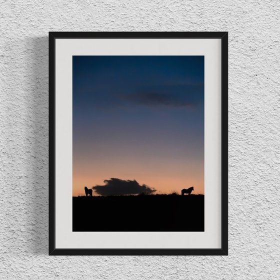 THE ICELANDIC HORSES