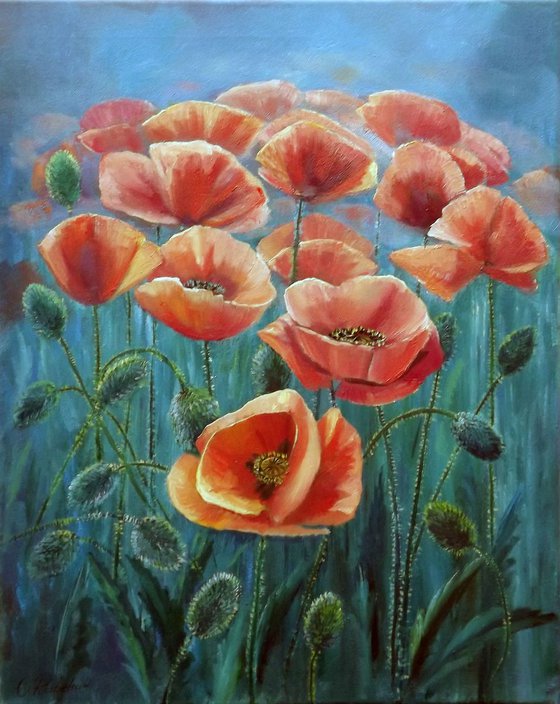 Poppies