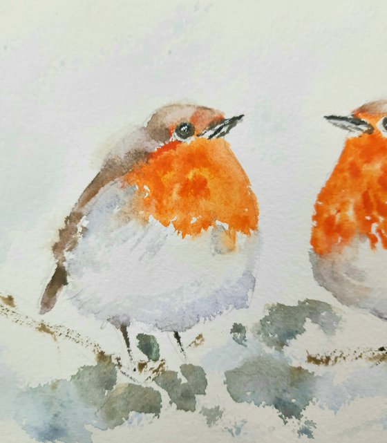 Two fluffy Robin birds