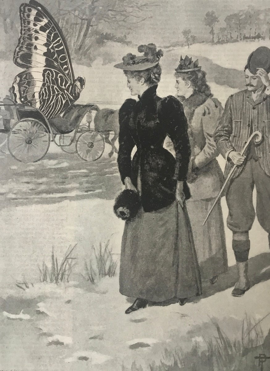 Surrealistic Collage , Butterfly Carriage By Tudor Evans, 7 X 9, Artwork For Sale On Artfinder