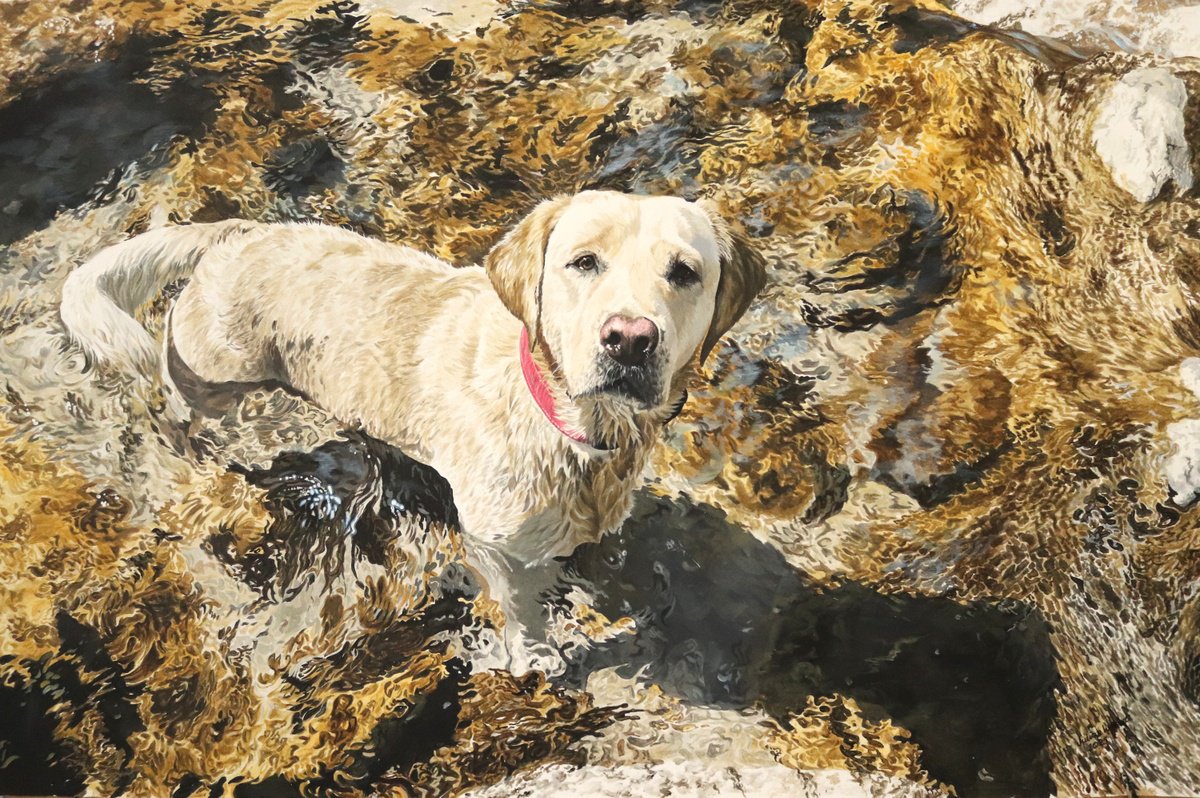Photorealistic Animal Acrylic Painting By Julian Wheat, 36 X 24", Labrador Retriever, Original Artwork