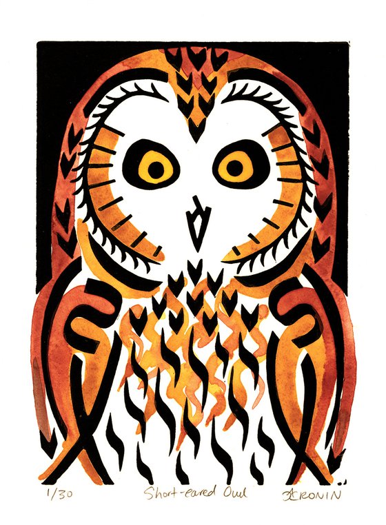 Short-eared Owl coloured 1/30