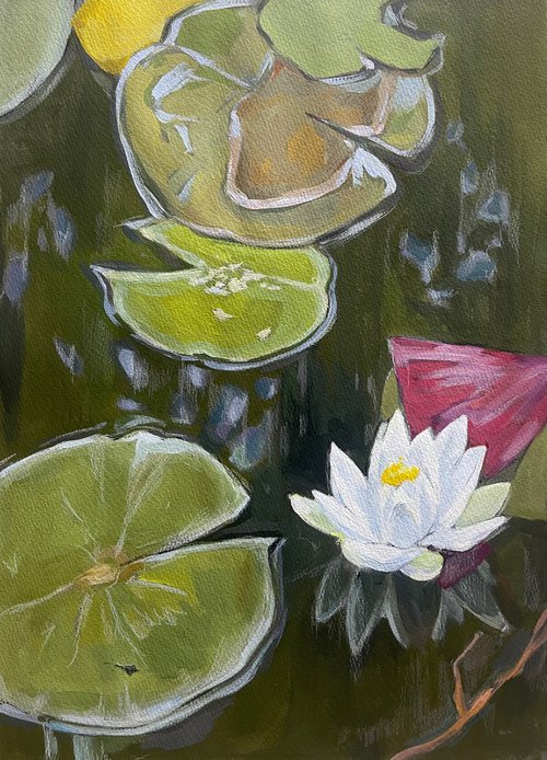 Pond lily by Guzel Min
