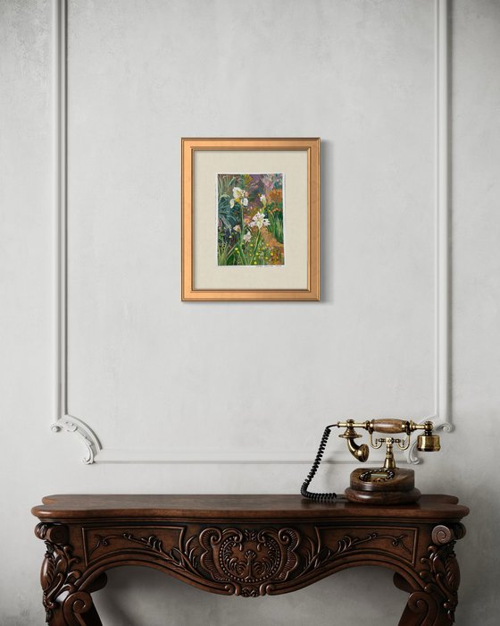 White irises in the garden