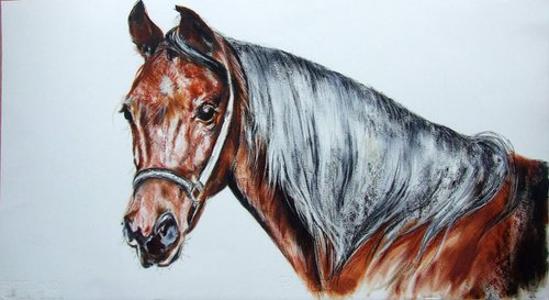 Brown Horse by Anna Sidi-Yacoub