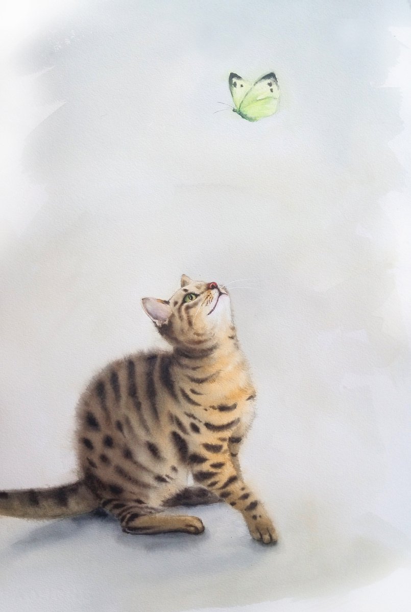 Tabby Kitten Hunts for a Butterfly - striped cat playing with a flying butterfly by Olga Beliaeva Watercolour