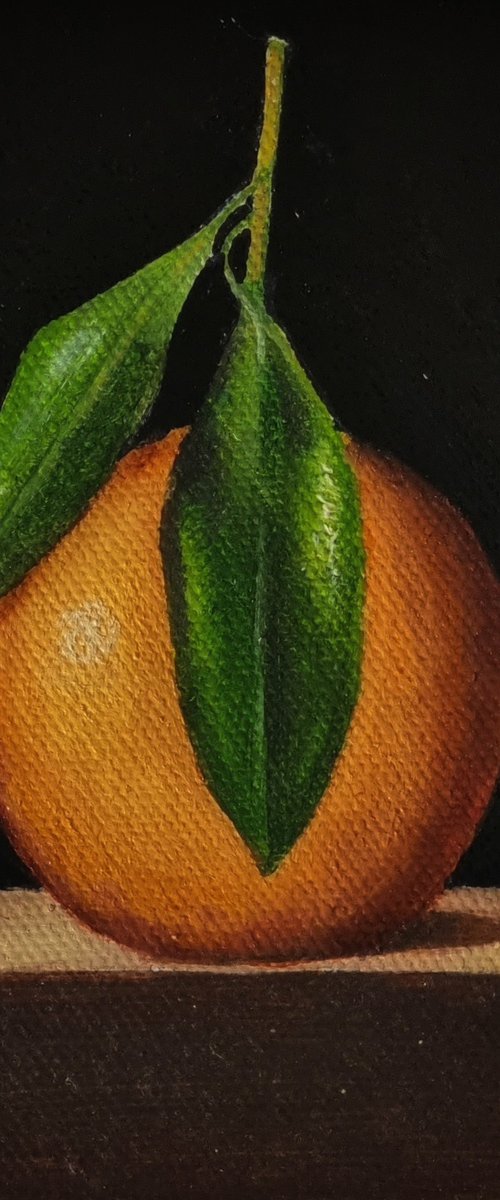 An Orange by Priyanka Singh