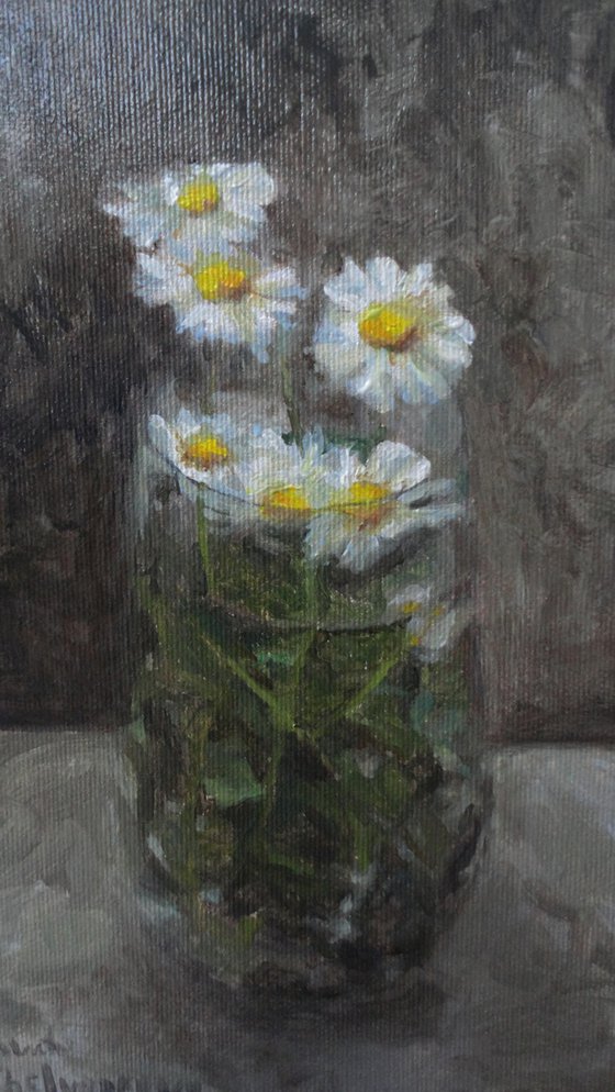 Daisies