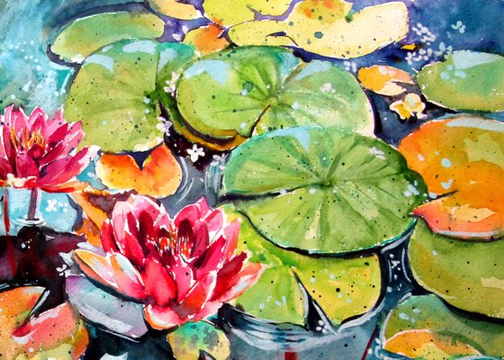 Water lilies