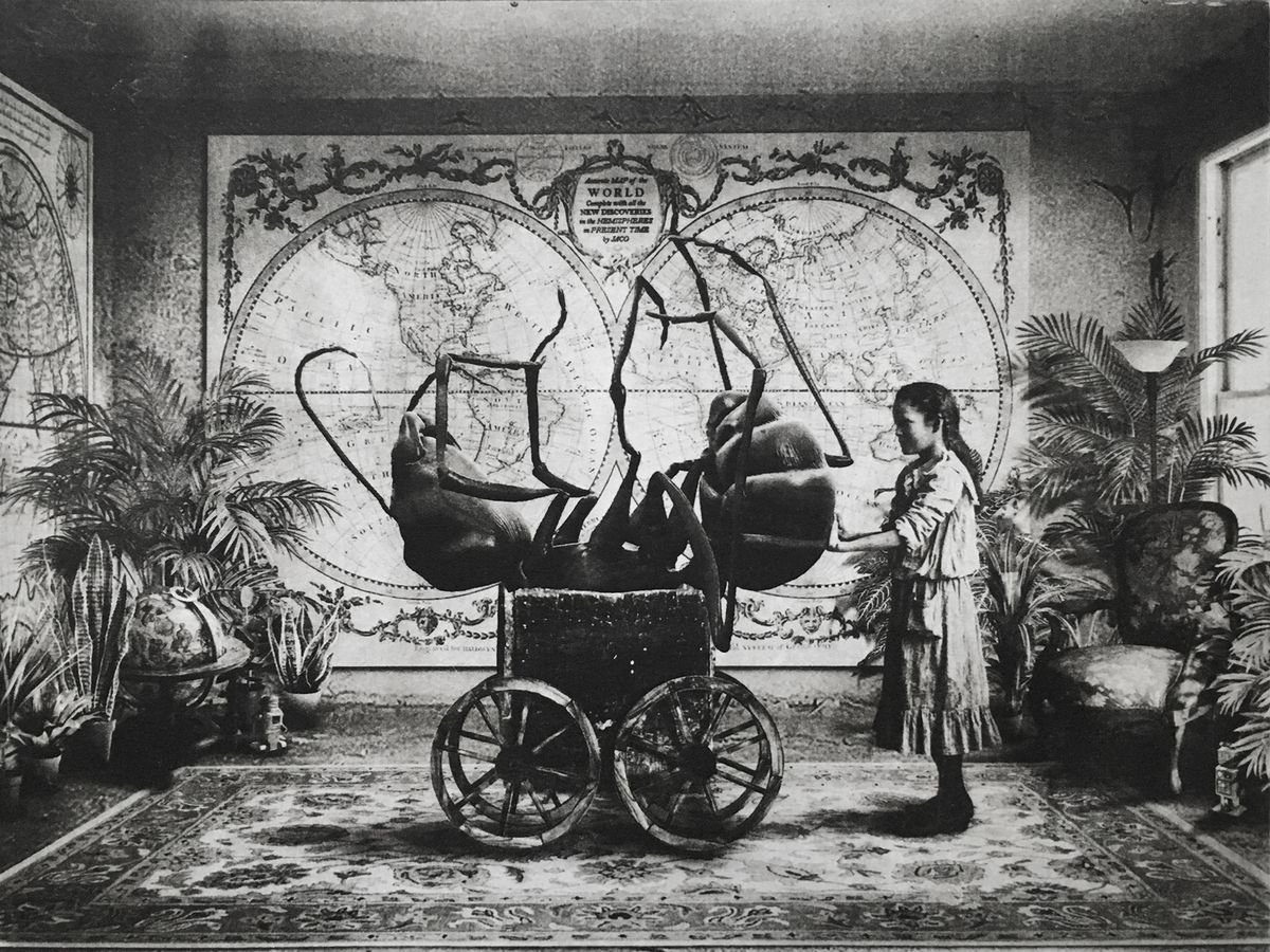 Animal Etchings & Engravings By Jaco Putker, 13 X 10, Interior No.63, Original Artwork