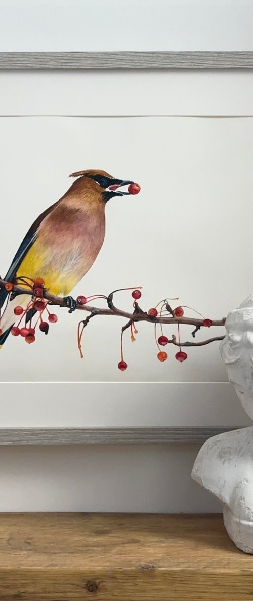 The Bohemian Waxwing by Irsa Ervin