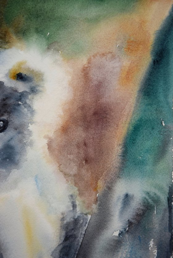 Koala painting, Australia watercolor painting original