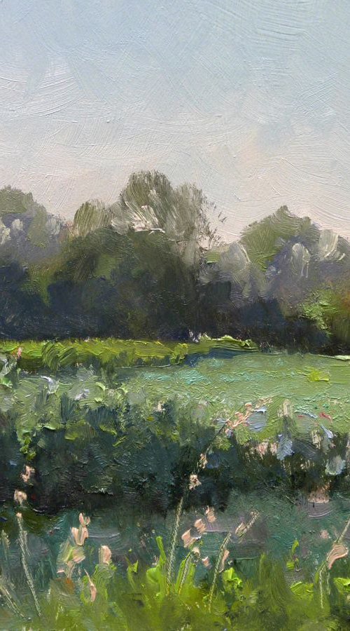 Summer Evening in Provence by Pascal Giroud
