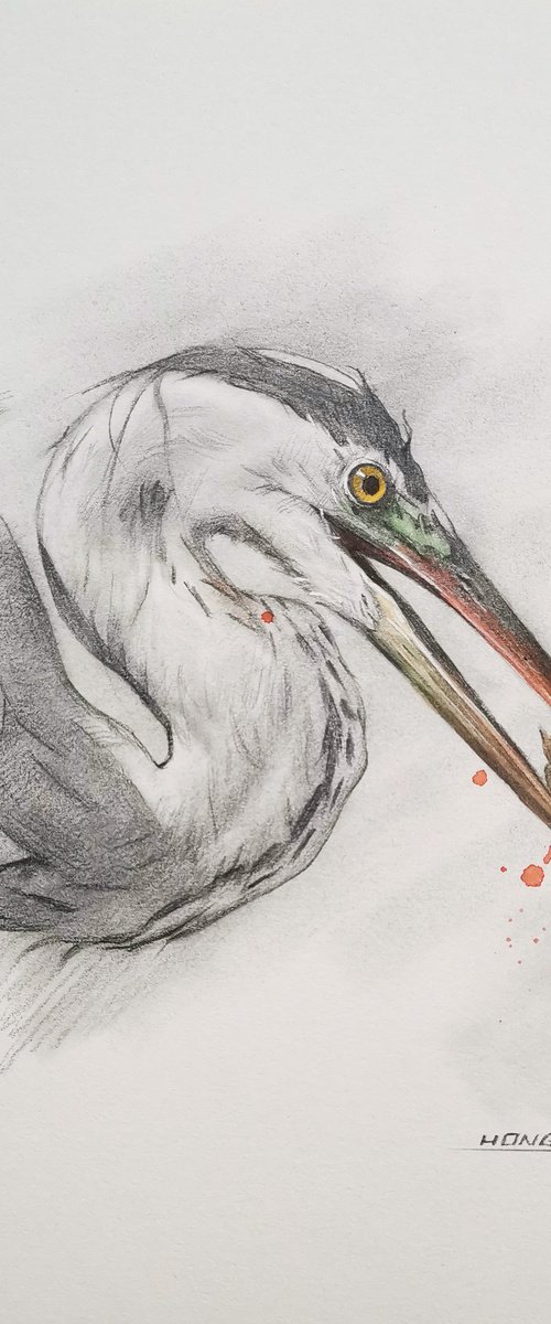 Heron foraging by Hongtao Huang