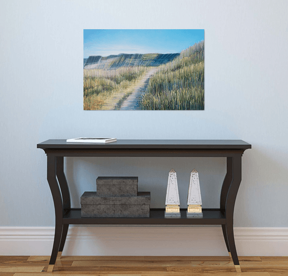 A Summer Sea Cliff Path