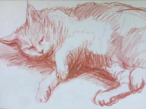 Happy Cat Sketch 8 by Oxana Raduga