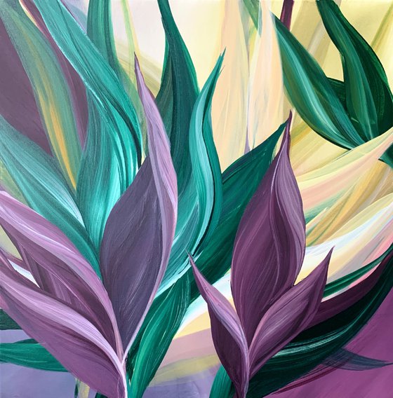 Enigmatic fucsia