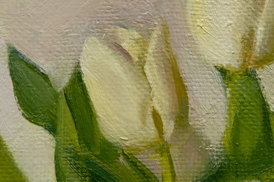 White tulips