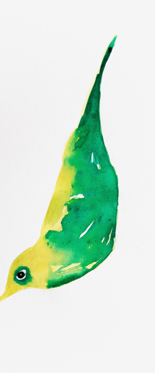 Bird by Nadia Moniatis
