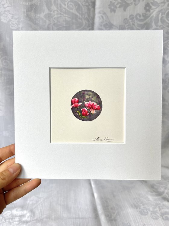 Magnolia miniature