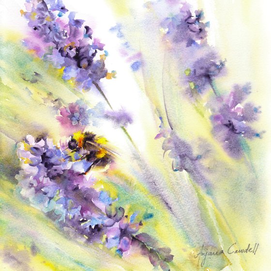 Bumblebee on lavender, an original watercolour painting, framed bee painting, ready to hang
