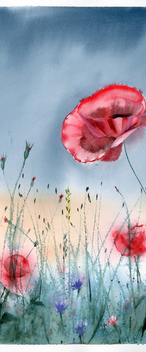 Poppies  -  Original Watercolor Painting by Olga Shefranov by Olga Tchefranov (Shefranov)