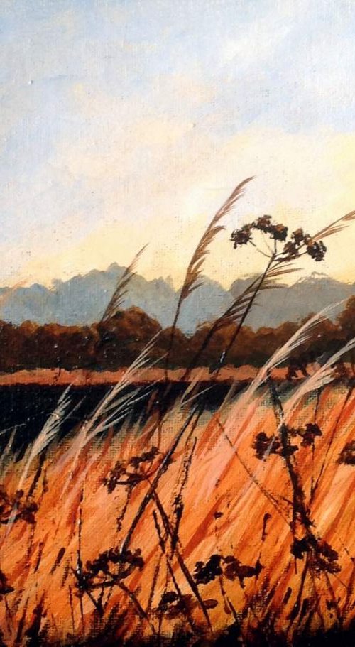 FIELDSIDE GRASSES by BARBARA  HARLOW