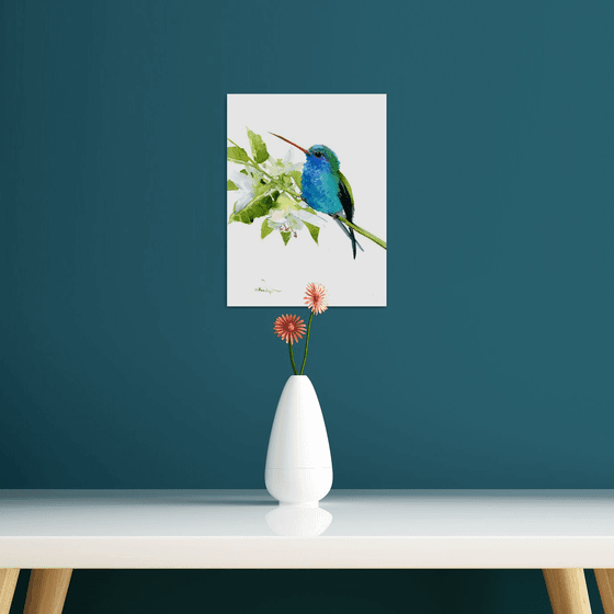 Turquoise-Blue Hummingbird