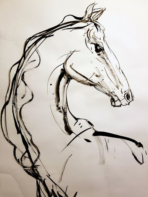 Horse 3