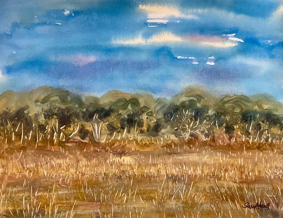 Durlston country park, Dorset