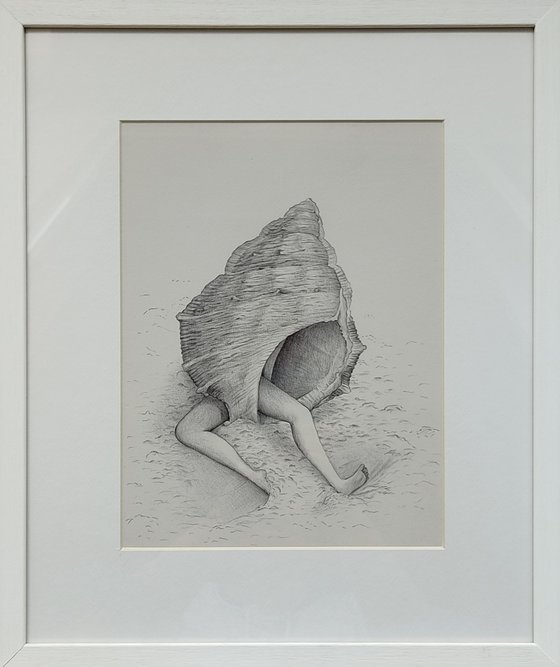Shell with feet
