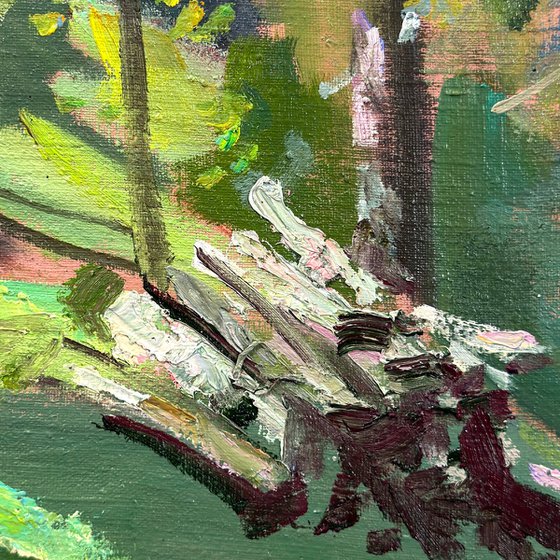Summer Light Carpathian Hills