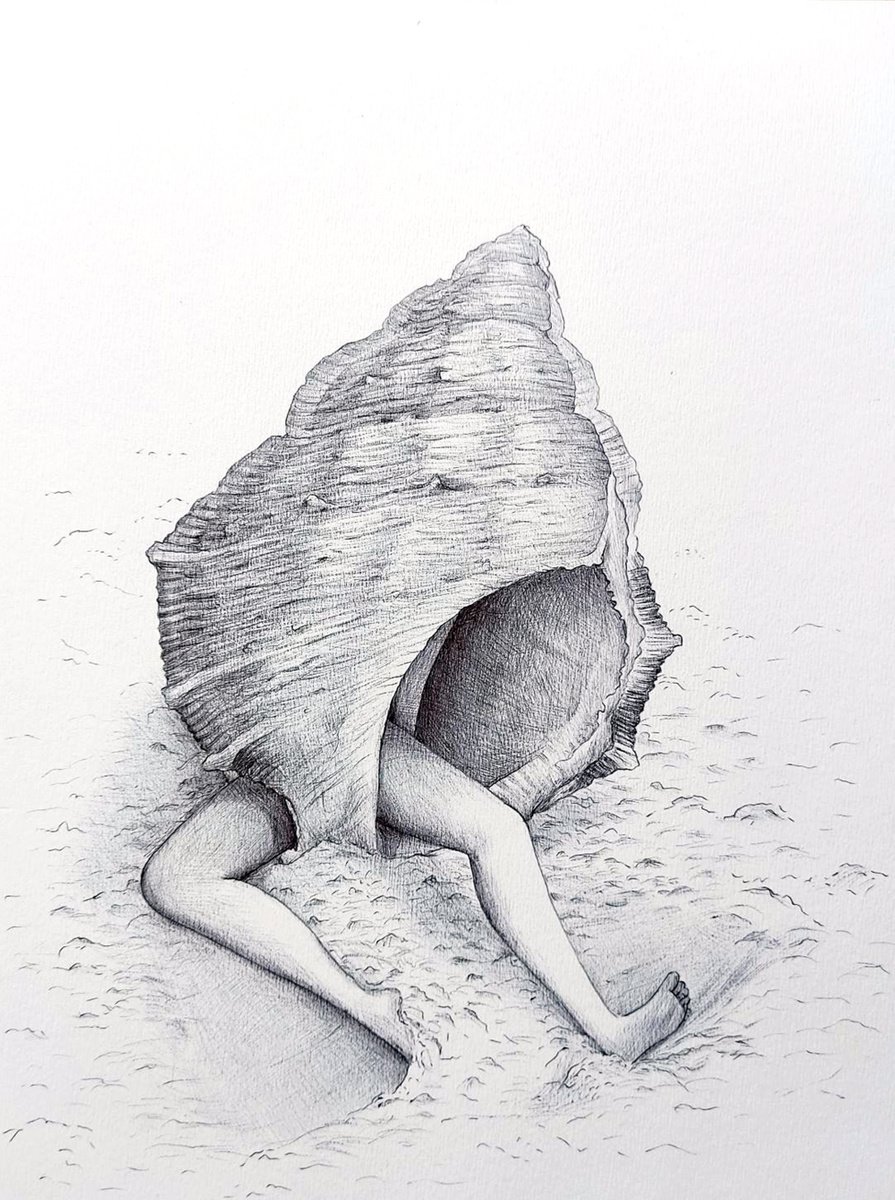 Shell with feet by Andromachi Giannopoulou