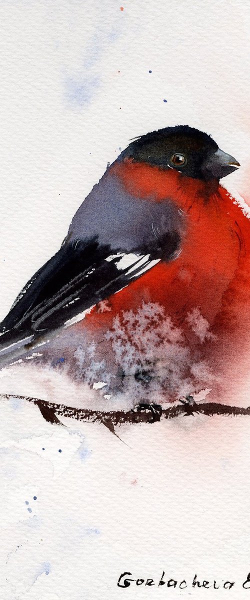 Bullfinch #2 by Eugenia Gorbacheva