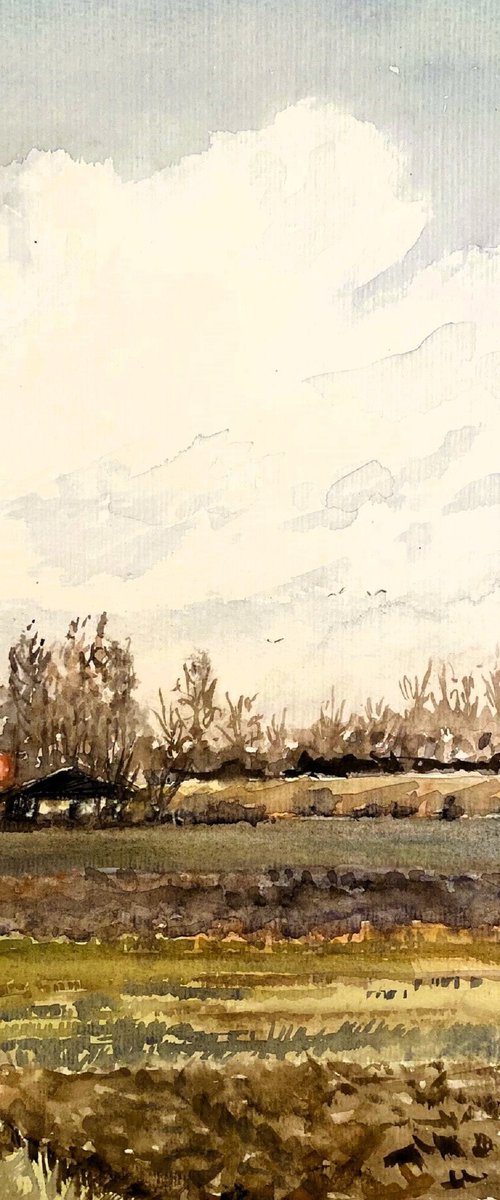 Spring Light, Zeeland by Morag Paul