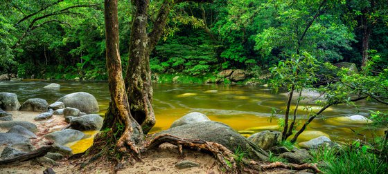 Mossman Gorge