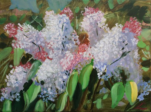 Lilac 3 by Elena Sokolova