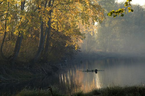 Autumnal silence by Sonja  Čvorović