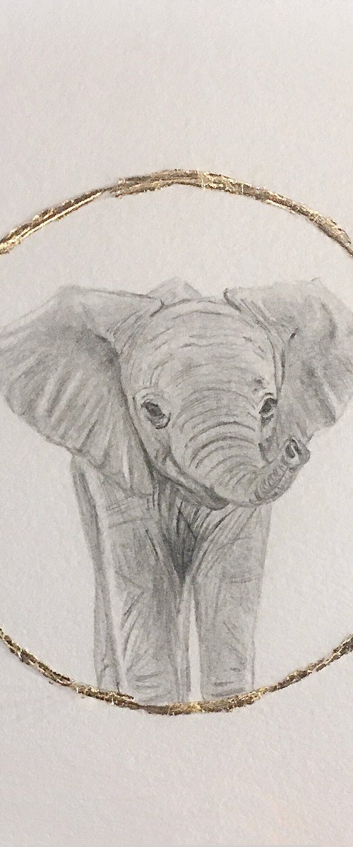 Graphite elephant drawing. by Amelia Taylor