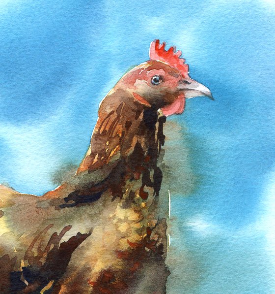 Сhicken in watercolor, Farm life, Bird painting