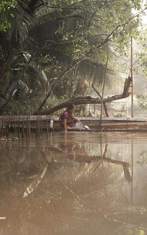 Tropical Backwaters by Serge Horta