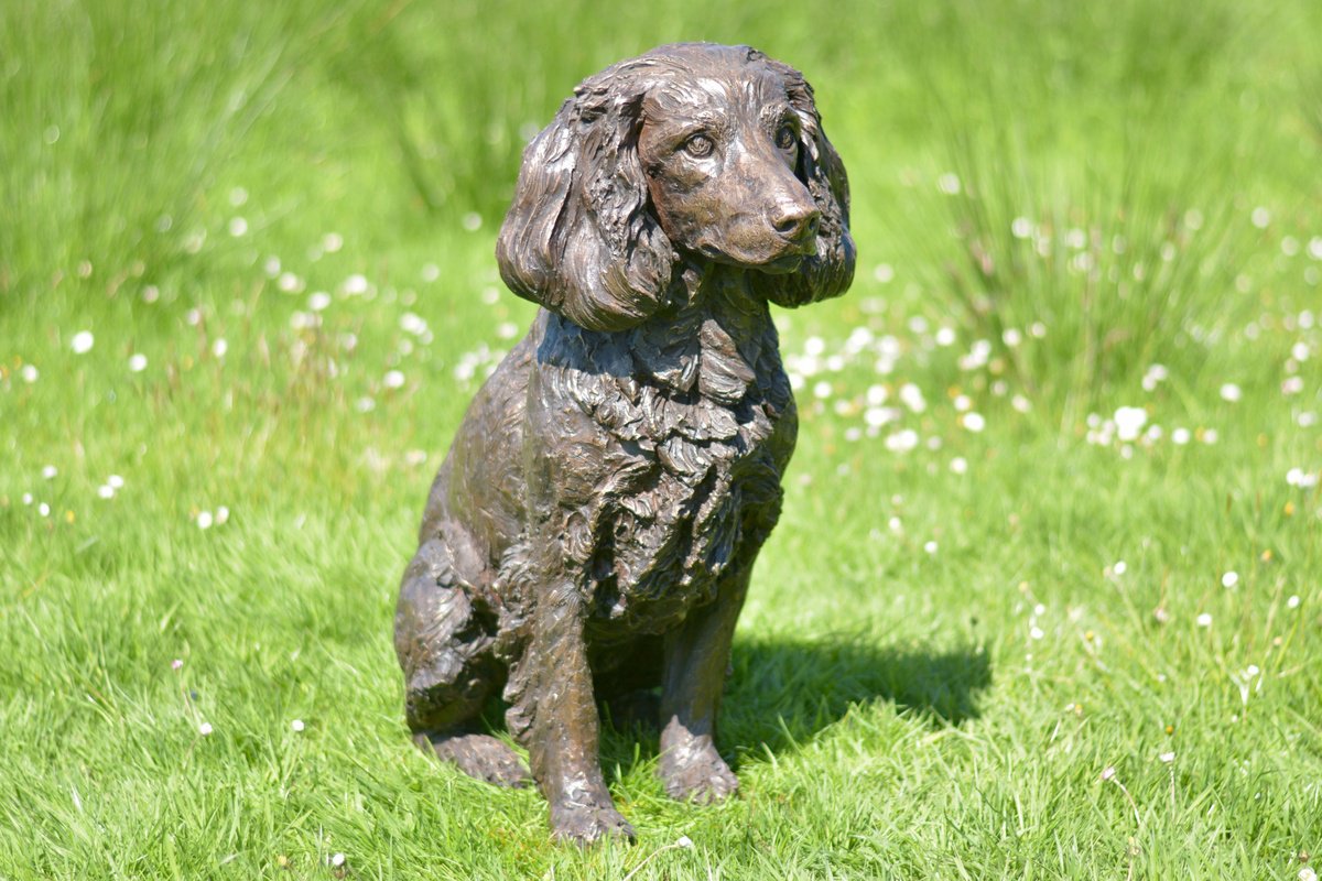 Working Spaniel BR by Tanya Russell