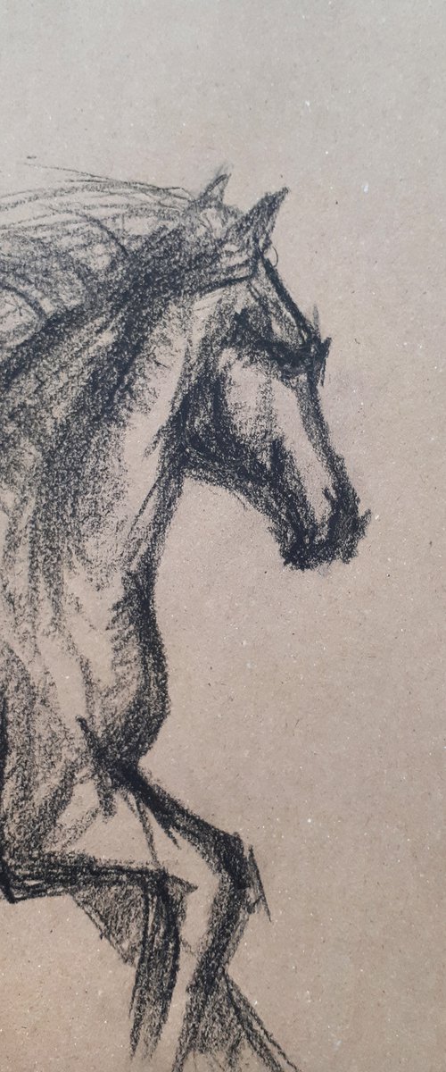 Horse 1 Sketch  /  ORIGINAL PAINTING by Salana Art