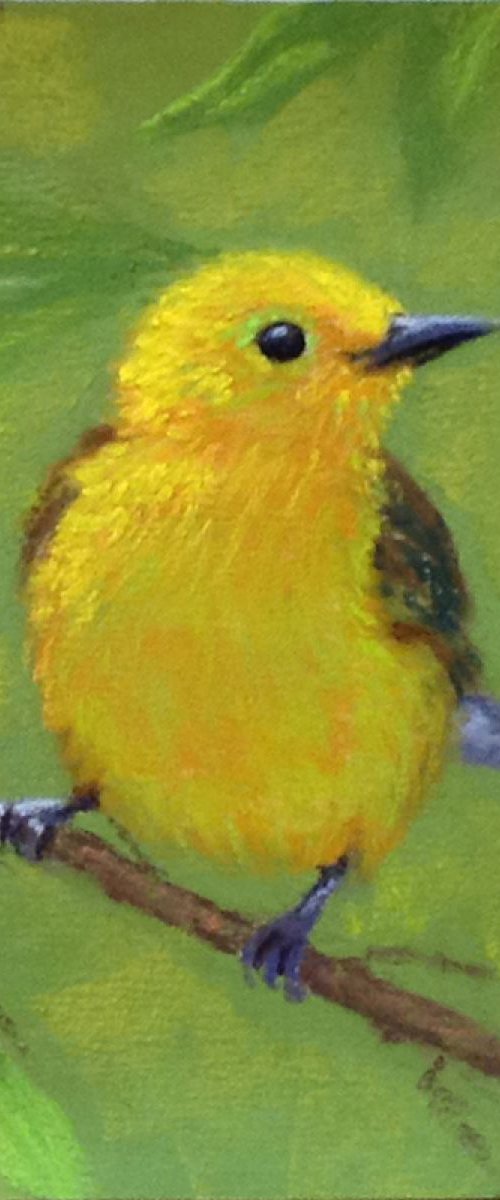 Yellow Warbler by Tatiana Roulin